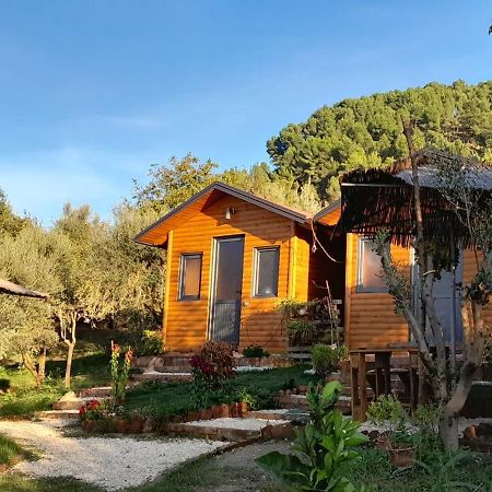 Bujtina Musta Guest House Berat Luaran gambar