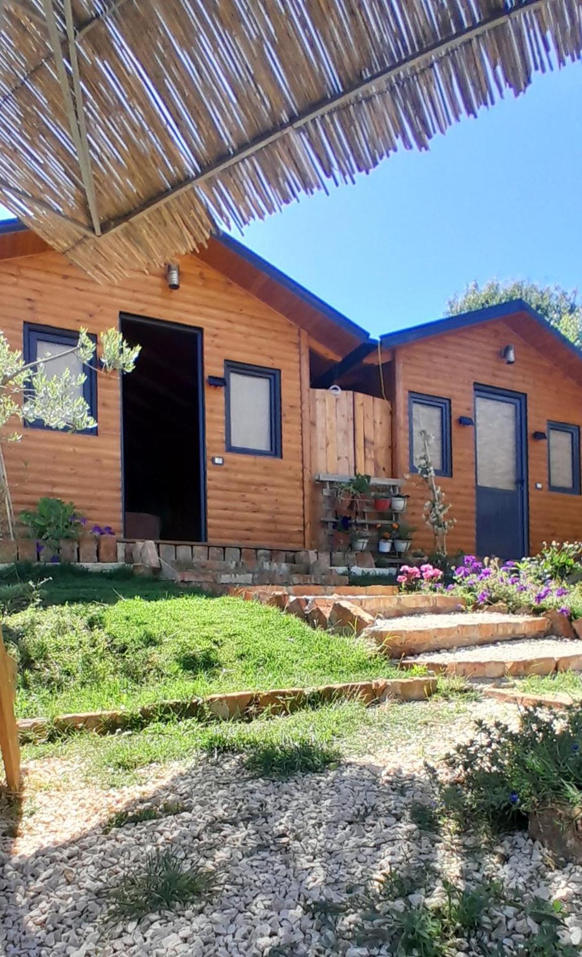 Bujtina Musta Guest House Berat Bilik gambar